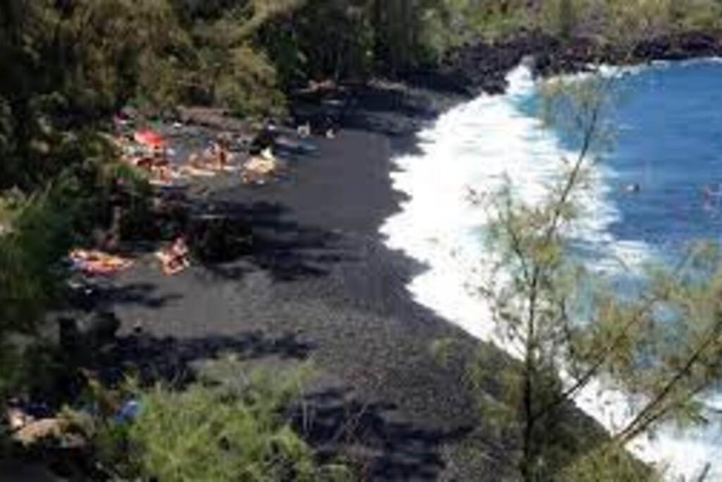 Jungle Haven Ocean Front Eco Villa On Fruit Farm Pahoa Екстериор снимка
