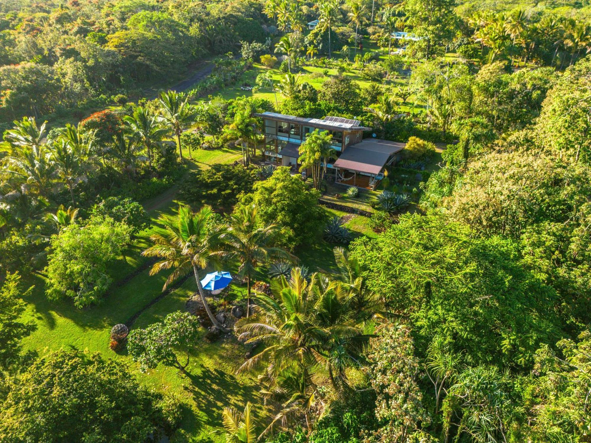 Jungle Haven Ocean Front Eco Villa On Fruit Farm Pahoa Екстериор снимка