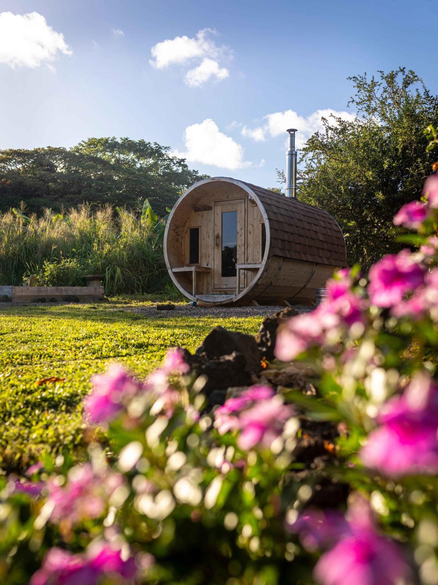Jungle Haven Ocean Front Eco Villa On Fruit Farm Pahoa Екстериор снимка