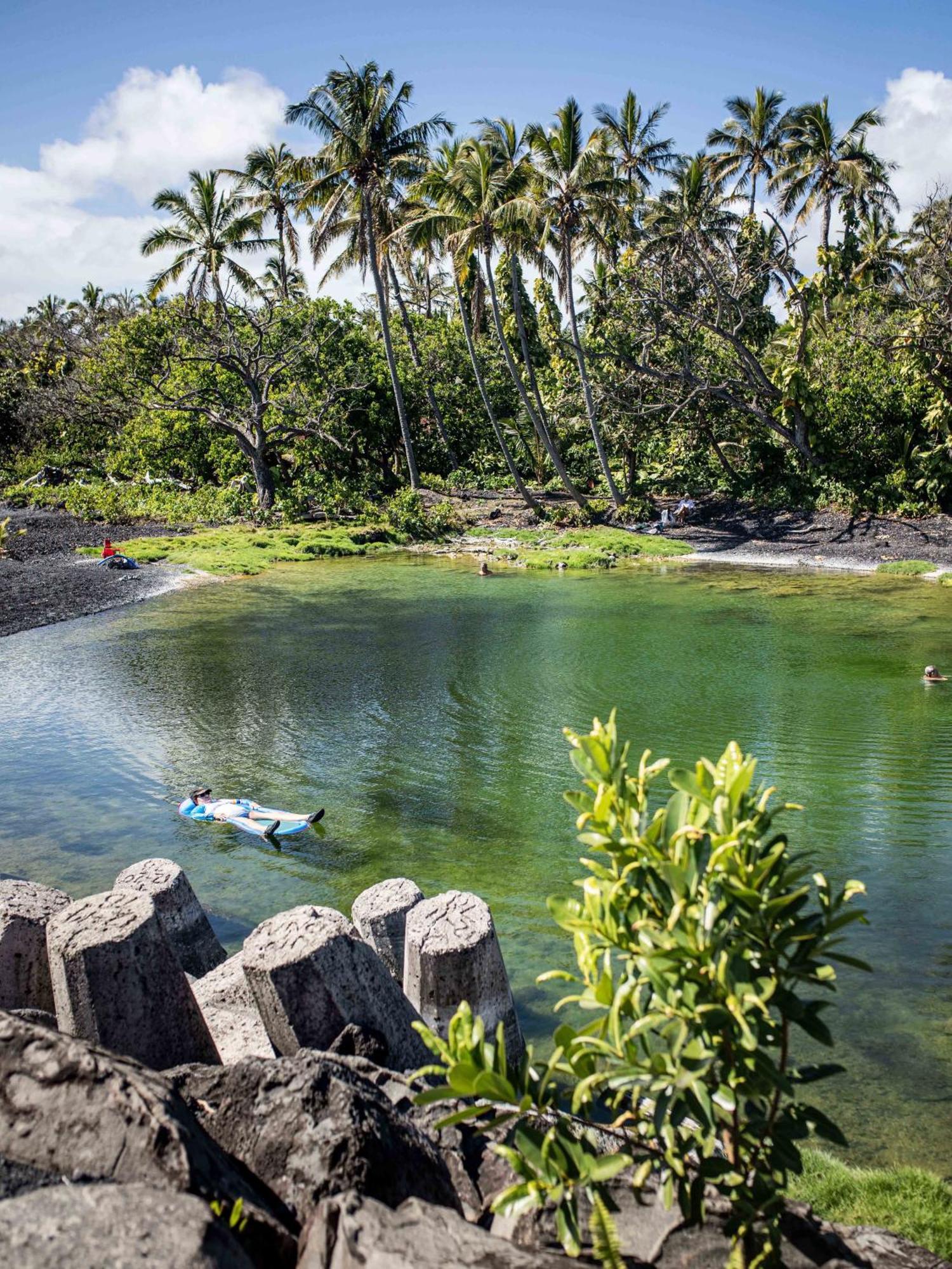 Jungle Haven Ocean Front Eco Villa On Fruit Farm Pahoa Екстериор снимка