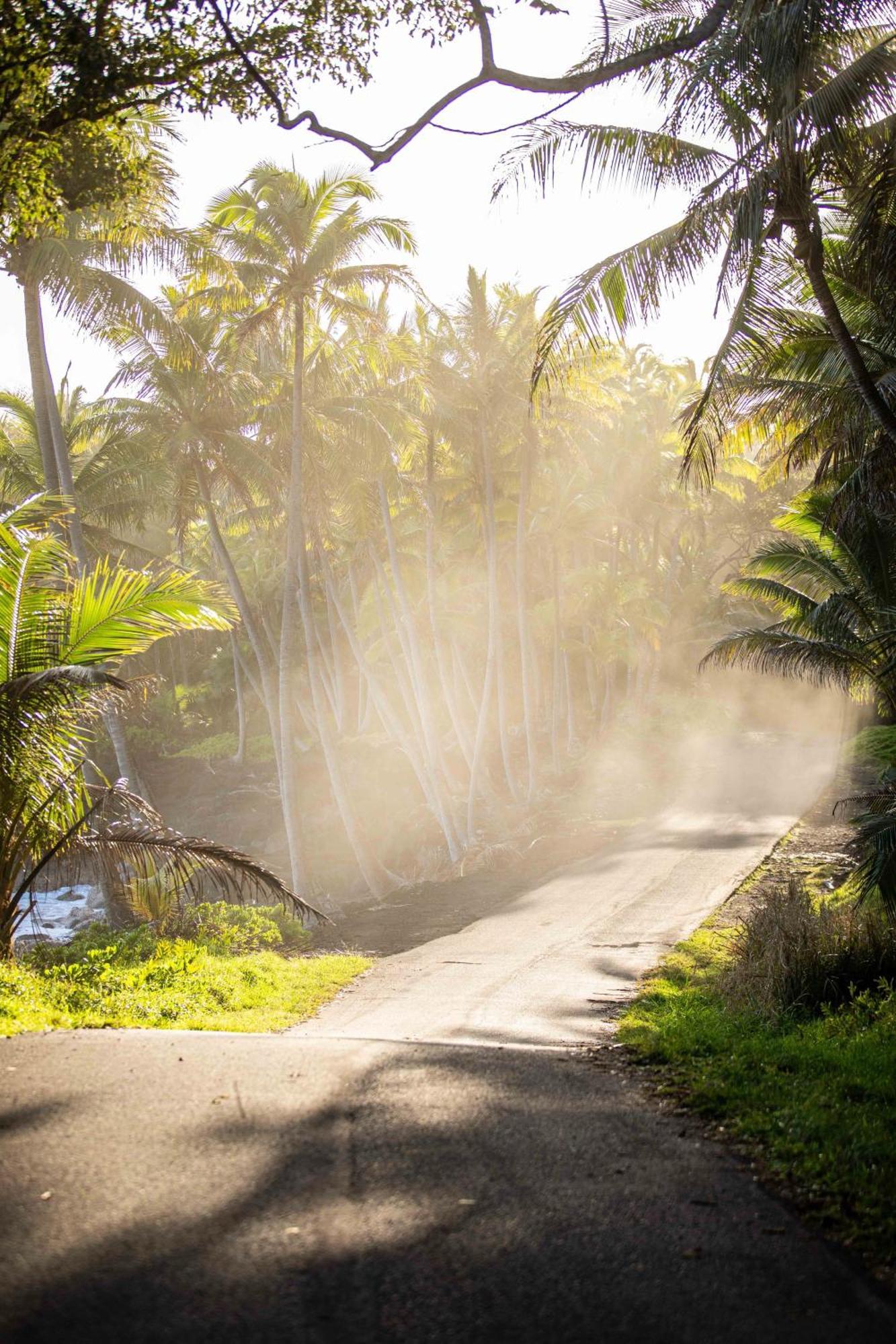 Jungle Haven Ocean Front Eco Villa On Fruit Farm Pahoa Екстериор снимка
